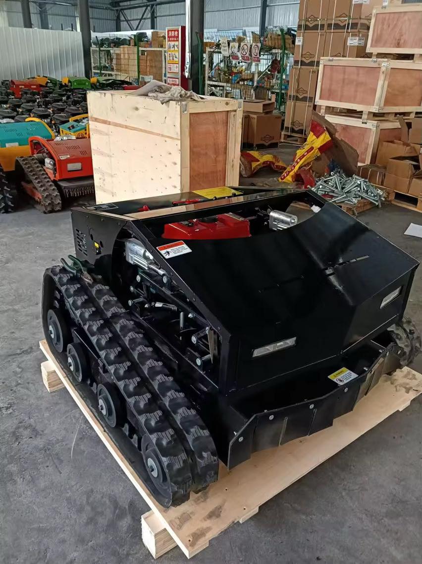 Remote Control Lawn Mower with Snow Blade